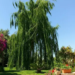  Bed & Breakfast La Casa Dei Sogni Italia